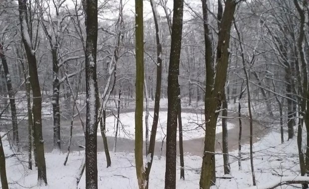 A gdyby tak zobaczyć kratery meteorytowe... w Poznaniu? 