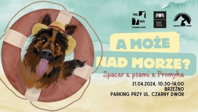 A może nad morze? Czyli spacer z psami ze schroniska w Gdańsku już w tę niedzielę!