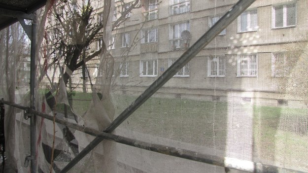 A to okno widziane zewnątrz. Na pierwszym planie wiosenna zieleń, której mieszkańcy z Szymanowskiego /Agnieszka Witkowicz /RMF FM