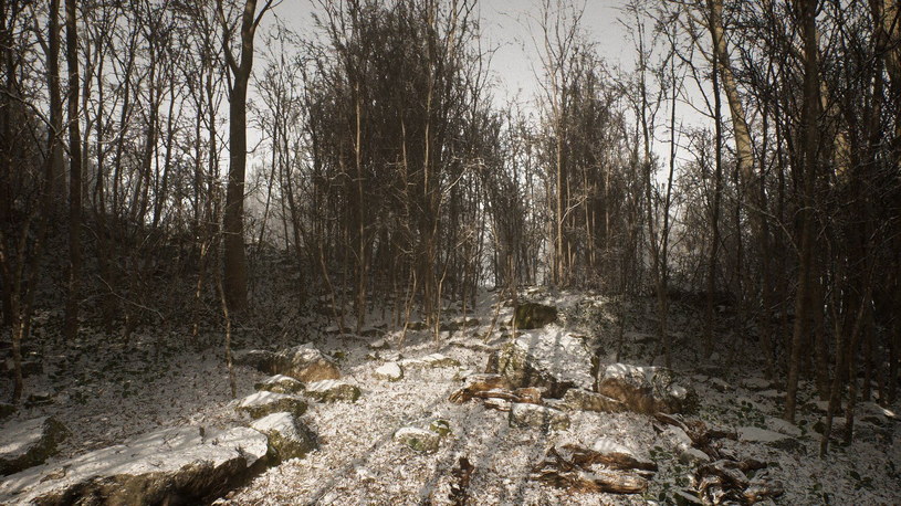 Abandoned /materiały prasowe