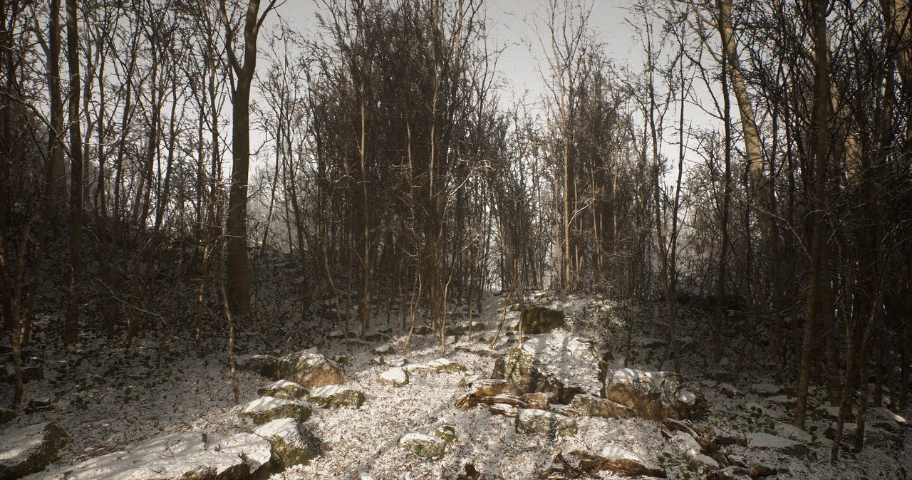 Abandoned /materiały prasowe