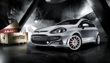 Abarth Punto Evo na sterydach