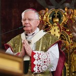Abp Marek Jędraszewski o "zapaści demograficznej". Wskazuje winowajców 
