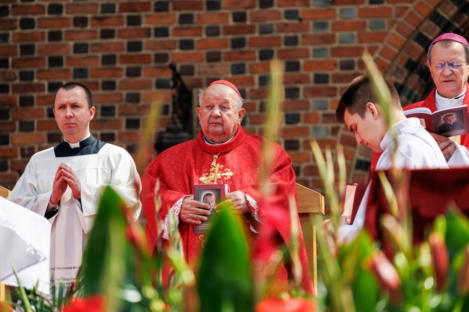 Abp senior archidiecezji krakowskiej Stanisław Dziwisz /Marek Zakrzewski /PAP