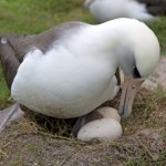 wiek Absolutna rekordzistka. Ma 75 lat i znowu będzie mieć dzieci