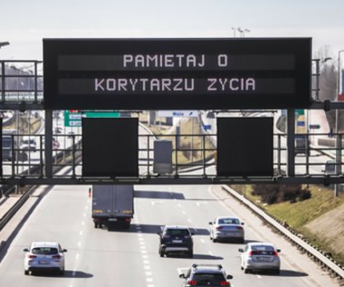 Absurd w kodeksie drogowym. Oblał egzamin bo znał przepisy. Usunęli pytanie