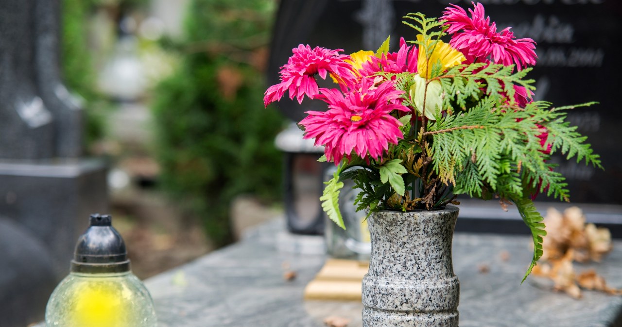 Aby przedłużyć trwałość kwiatów na cmentarzu, wystarczy tania odżywka. Zrobisz ją sam, a dekoracja będzie pięknie wyglądać tygodniami /Pixel