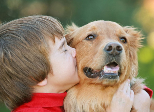 Aby żyć z psem w harmonii, cała rodzina musi nauczyć się z nim komunikować. /123RF/PICSEL