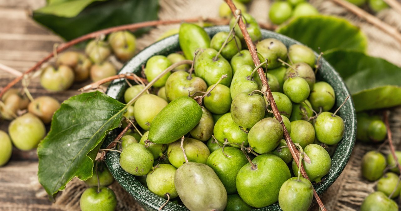 Actinidia arguta, czyli mini-kiwi /123RF/PICSEL