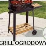 Action sprzedaje grill za śmieszne pieniądze - czy to w ogóle ma sens?