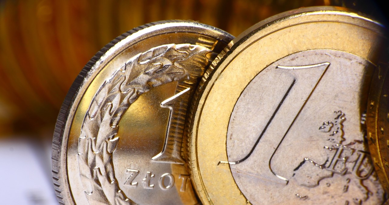 Adam Glapiński przestrzega przed szybkim przyjęciem euro. Zdaniem szefa NBP stwarzałoby to istotne ryzyka dla polskiej gospodarki. Zdj. ilustracyjne /123RF/PICSEL