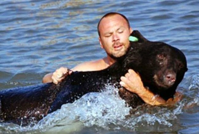 Adam Warwick podczas ratowania niedźwiedzia /INTERIA.PL/materiały prasowe