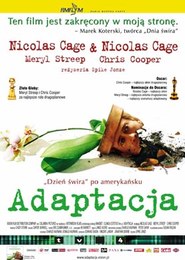 Adaptacja