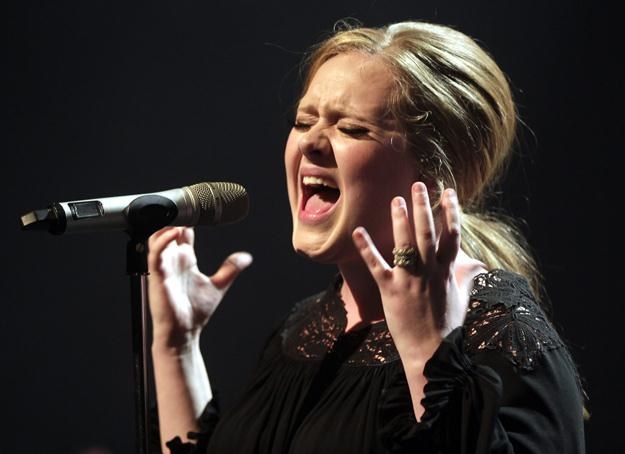 Adele podczas koncertu w Paryżu /Agencja FORUM