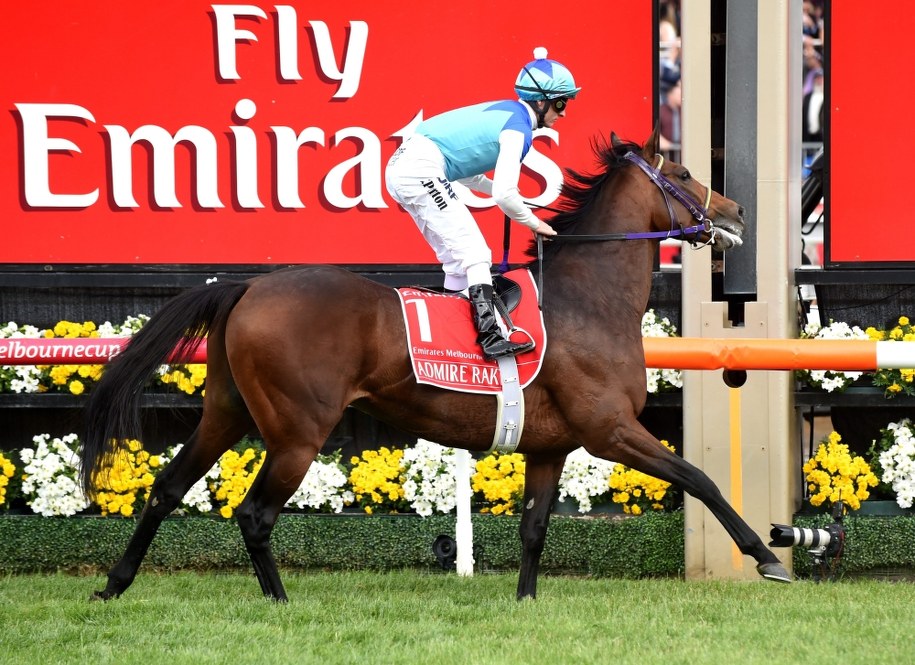 Admire Ratki /TRACEY NEARMY   /PAP/EPA