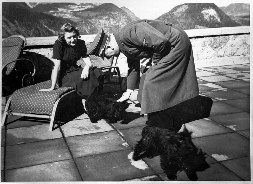 Adolf Hitler i jego późniejsza żona, Ewa Braun mieli kilka psów. Hitler bardzo lubił te zwierzęta /Roger Viollet /East News