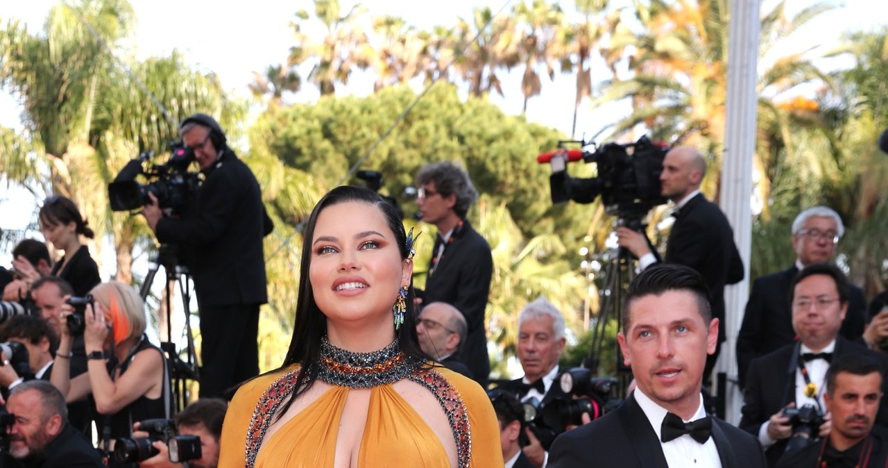 Adriana Lima z partnerem /Getty Images