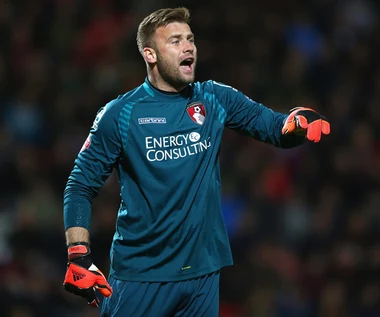 AFC Bournemouth - Bolton Wanderers 3-0. Boruc awansował do Premier League!
