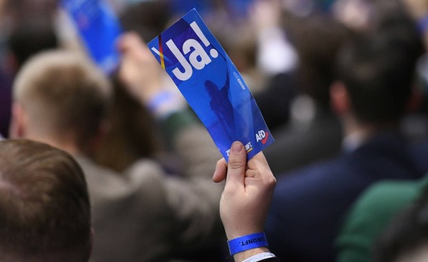 AfD bije rekordy na północnym wschodzie Niemiec. 37 proc. poparcia