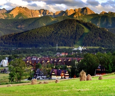 Afera na całe Zakopane. Mówił, że buduje poidła dla koni. Oto co powstało