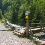 Afera na Podhalu. Arabscy turyści podpadli mieszkańcom