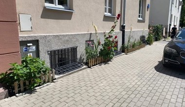 Afera o rabaty przed kamienicą. Posadziła kwiaty i dostała mandat