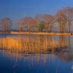 Afera o "renaturyzację" polskiej rzeki. Zareagował resort klimatu