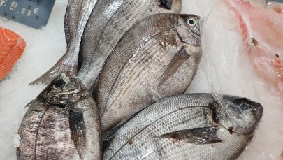 Afera rybna pod lupą CBA. Produkty mogły być tak nieświeże, że szkodziły zdrowiu