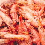 Walmart Afera w USA. Duża sieć wycofuje krewetki. "Potencjalnie radioaktywne"