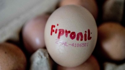 Afera z fipronilem: Będą kontrole na polskich fermach