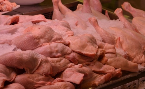 Afera z fipronilem. Do zakładów mięsnych na Mazowszu trafiły prawie 3 tony mięsa z niemieckiej fermy