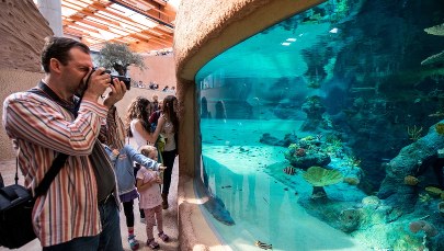 Afrykarium przeszło wielki test!