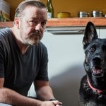 "After Life": Pies z serialu Netflixa grał wcześniej z Tomem Cruisem
