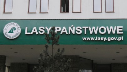 Agenci CBA w siedzibie Lasów Państwowych. Podejrzenie zmowy przetargowej 