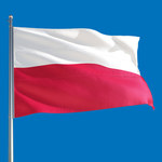 Agencja Fitch podwyższyła prognozę wzrostu PKB Polski