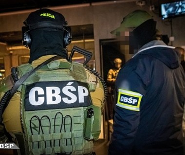 Agencje towarzyskie, pranie pieniędzy i wyłudzenia. Rozbita mafia w Trójmieście