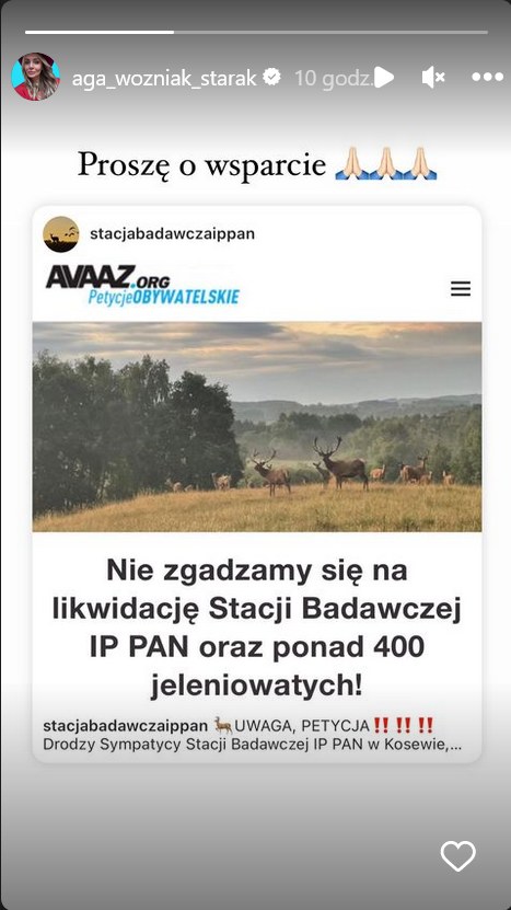 Agnieszka Woźniak-Starak /Instagram @aga_wozniak_starak /Instagram