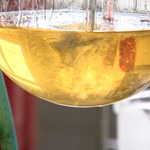 Agrowłóknina nie musi być z plastiku. Wynalazek Polaków 