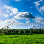 Agrowoltaika, czyli uprawy i panele słoneczne na jednym polu