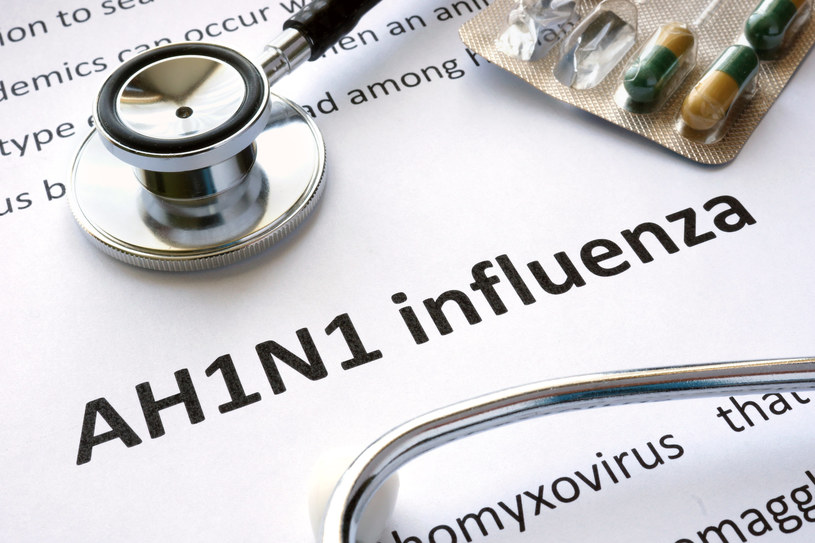 AH1N1 to wirus wywołujący grypę /123RF/PICSEL