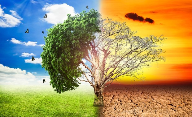 AI kontra klimat: Czy technologia zrujnuje nam planetę?
