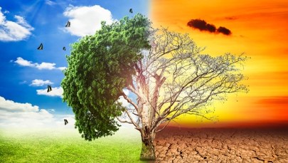 AI kontra klimat: Czy technologia zrujnuje nam planetę?