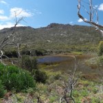 tasmania AI wymyśliła sobie atrakcję. Turyści tłumnie ruszyli w drogę