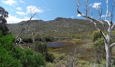 AI wymyśliła sobie atrakcję. Turyści tłumnie ruszyli w drogę