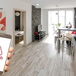 Airbnb zakazuje kamer. Jak zabezpieczyć mieszkanie przed najemcami?