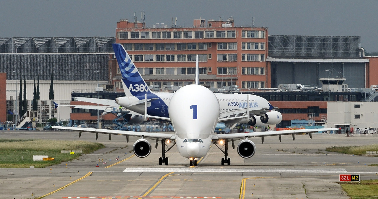 Airbus Beluga XL będzie jeszcze większy od samolotu transportowego Beluga /AFP