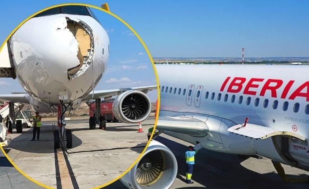 Airbus zderzył się z sępem. Zdjęcia z Madrytu robią furorę w sieci