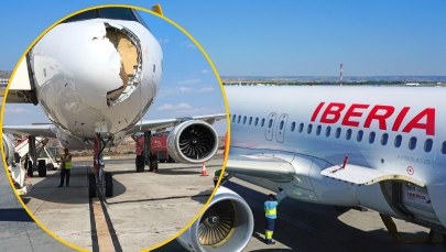 Airbus zderzył się z sępem. Zdjęcia z Madrytu robią furorę w sieci
