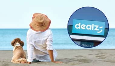 Akcesoria dla psów w Dealz! Letnia promocja, która rozpieści Twojego pupila