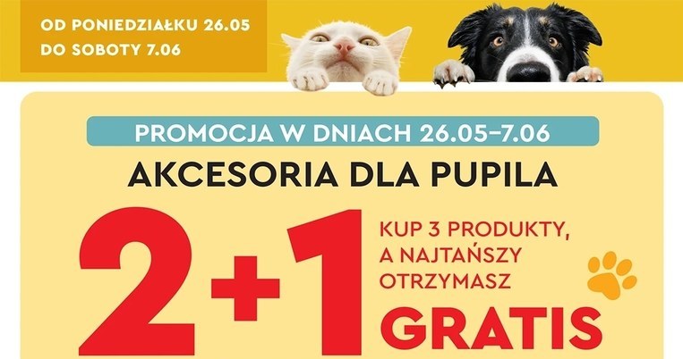 Akcesoria dla zwierząt w Biedronce /Biedronka /INTERIA.PL
